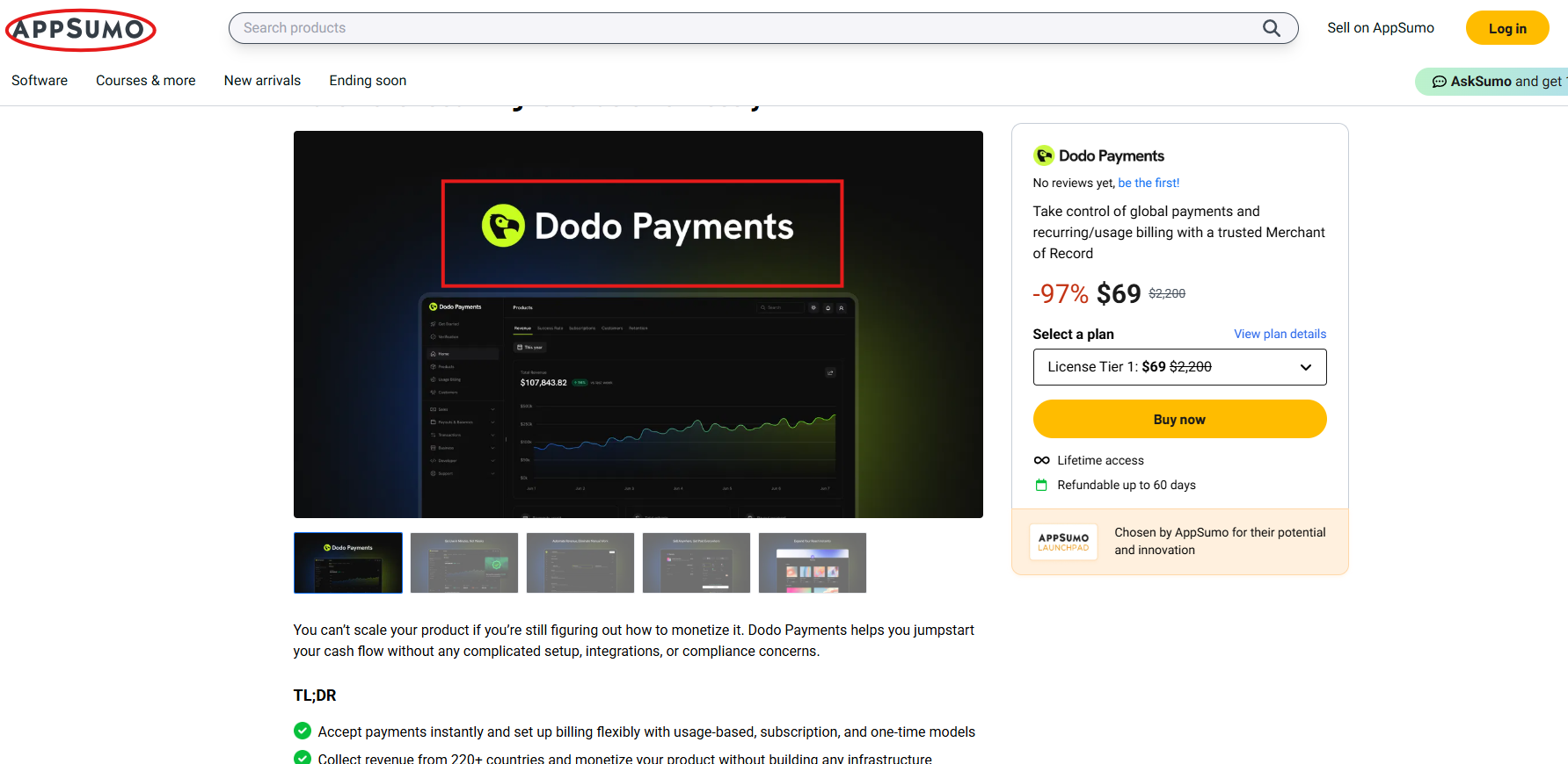 Global Monetization,   Dodo Payments Review